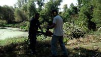 Clearing Trees for Dojo