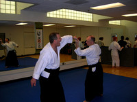 2009 MN Aiki Shuren Dojo Seminar